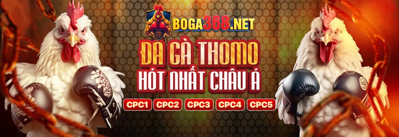 Đá Gà Trực Tuyến jn88 tặng 88k